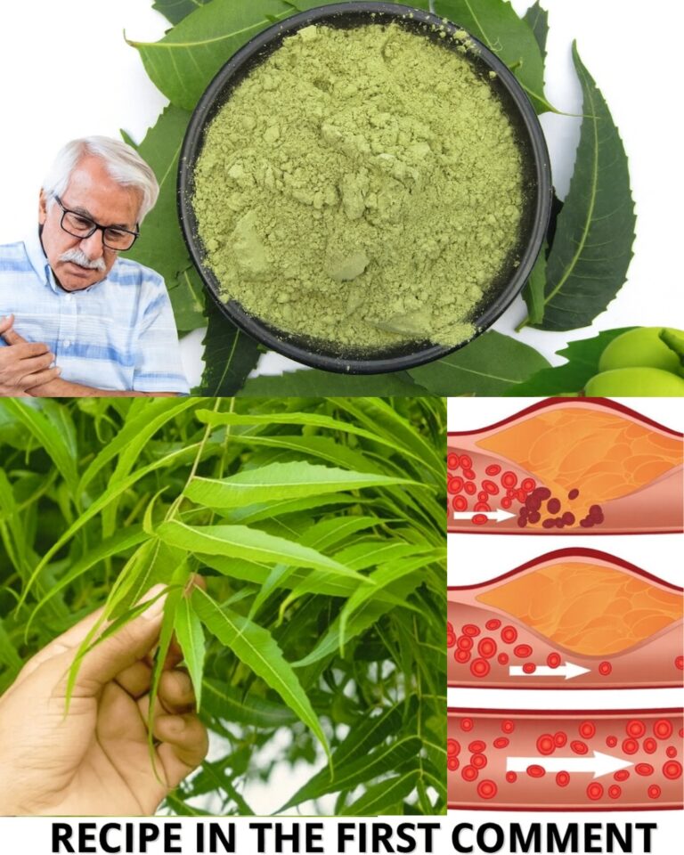 Discover the Leaf That Can Transform Your Health! 🌿💪