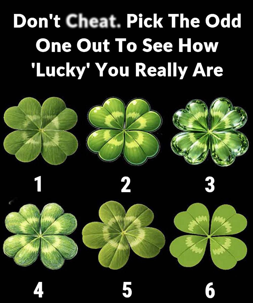 At first glance, the image looks like a simple game: six clovers, each slightly different, and one challenge—pick the odd one out. But beneath this playful test lies something more intriguing. It’s not really about luck… it’s about perception, intuition, and personality.