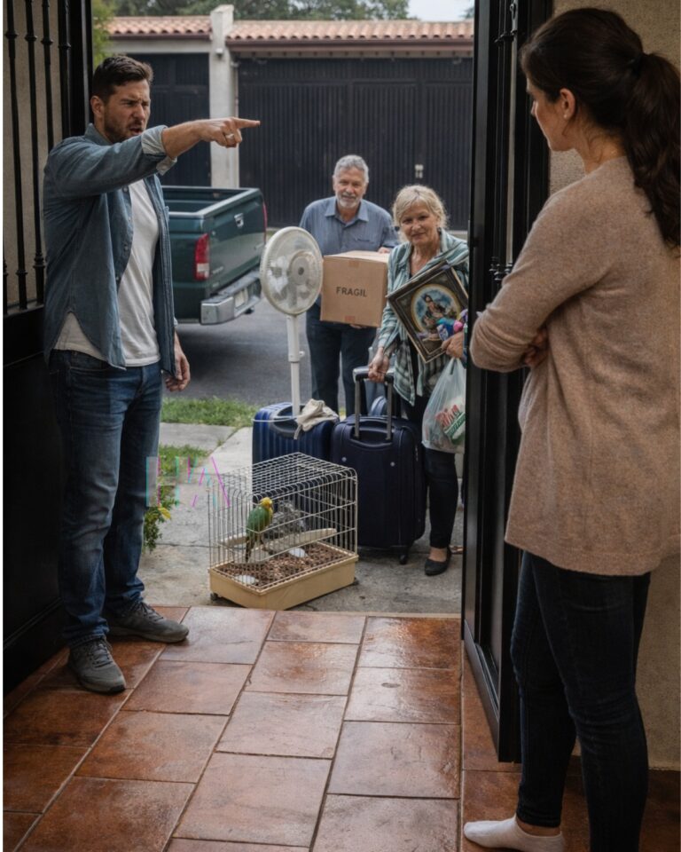 HE THREW YOU OUT OF THE HOUSE YOU PAID FOR IN SOCKS TO “TAKE CARE OF FAMILY,” BUT BY MORNING HE REALIZED HE’D LOCKED HIMSELF INSIDE A LIE HE COULDN’T AFFORD